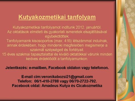 tanfolyam_1.jpg